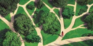 Somos mesmo o resultado de nossas escolhas? Somos mesmo o resultado de nossas escolhas?