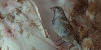 A evolução do amor é um regressar