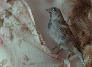 A evolução do amor é um regressar