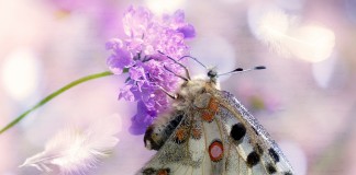 Toda marca vem para nos transformar