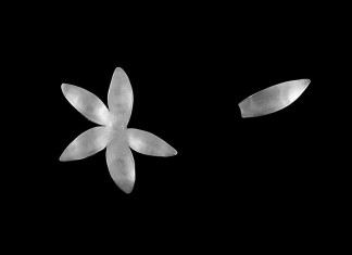 Essa coisa que vai e volta: a controversa luta contra os sentimentos