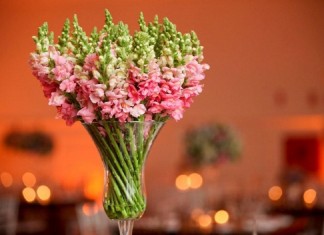 “Um encontro na penumbra”, por Marina Colasanti