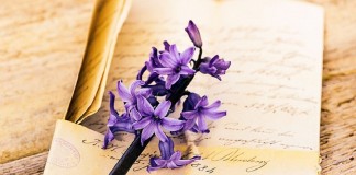 Carta à introspectiva que me habita