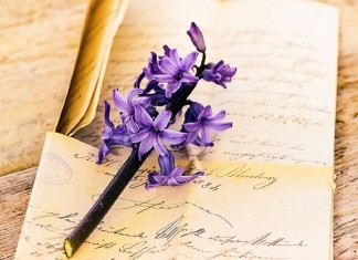 Carta à introspectiva que me habita