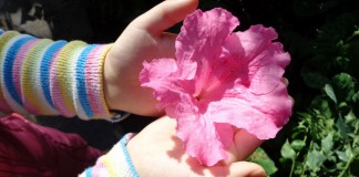 Equilibrando a troca