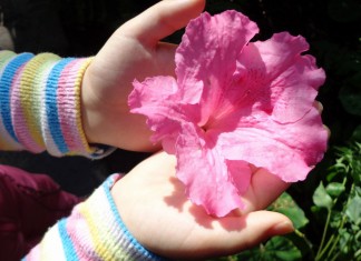 Equilibrando a troca