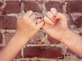 Meus secretos amigos