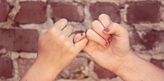 Meus secretos amigos Meus secretos amigos