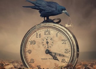 A roda dos dias atropela ou acompanha você?