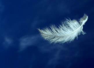 Os mais inesquecíveis trechos do livro “A insustentável leveza do ser”, de Milan Kundera