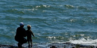 A Loucura de ser Pai nos Dias de Hoje A Loucura de ser Pai nos Dias de Hoje