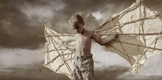 O desejo de ser pássaro O desejo de ser pássaro