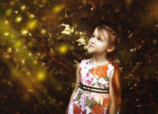 Declare-se inocente! Não assuma culpas alheias.