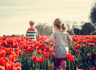 E no meio de tanta guerra, salve-se quem puder amar.