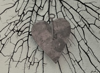 São todos iguais! Mas, diferentes…