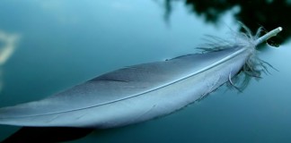 Só tem valor aquilo que pesa