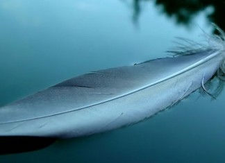 Só tem valor aquilo que pesa