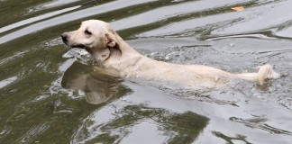 “Resgate do Jack” “Resgate do Jack”