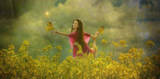 Se você deseja algo, deixe-o voar! Se você deseja algo, deixe-o voar!