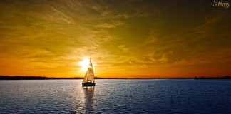 Sobre escolhas que não queremos e caminhos que não sonhamos