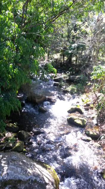 contioutra.com - Criado em fazenda Hare Krishna, rapaz volta a viver na comunidade pelos filhos.