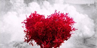 Contribuições de Freud à Psicologia do Amor