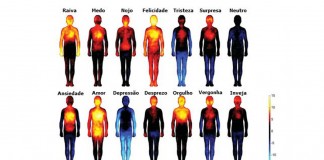 Os efeitos das emoções e pensamentos negativos no nosso corpo.