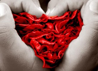 Deixar o coração ser a fogueira que mantém a vida acesa!