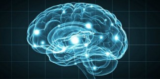 Dependência de ‘memória digital’ está prejudicando memória humana, diz estudo