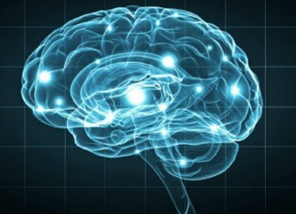 Dependência de ‘memória digital’ está prejudicando memória humana, diz estudo