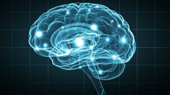 Dependência de ‘memória digital’ está prejudicando memória humana, diz estudo