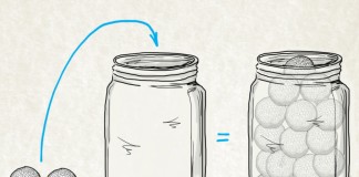 O jarro da vida: uma história que você nunca mais vai esquecer O jarro da vida: uma história que você nunca mais vai esquecer