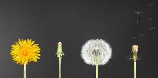 Se você muda, tudo muda