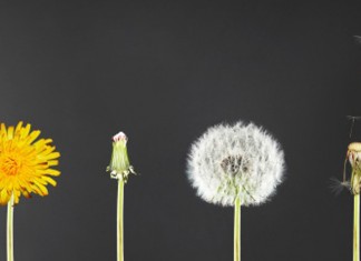 Se você muda, tudo muda