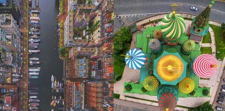 Como os pássaros enxergam o mundo. Imagens incríveis!