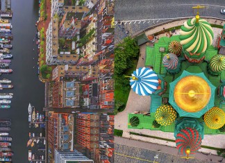 Como os pássaros enxergam o mundo. Imagens incríveis!