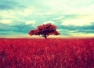 12 fatos psicológicos que todo mundo deveria saber