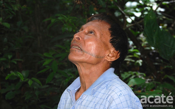 Tribo amazônica cria enciclopédia de medicina tradicional com 500 páginas contioutra.com - Tribo amazônica cria enciclopédia de medicina tradicional com 500 páginas