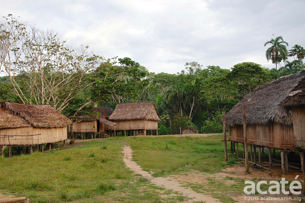 contioutra.com - Tribo amazônica cria enciclopédia de medicina tradicional com 500 páginas