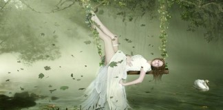 Sobre raízes e asas