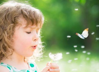 Encontre seu propósito