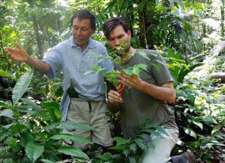 Tribo amazônica cria enciclopédia de medicina tradicional com 500 páginas