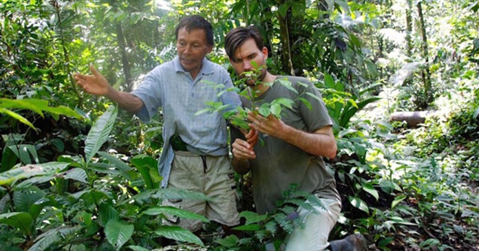 capa enciclopédia Tribo amazônica cria enciclopédia de medicina tradicional com 500 páginas