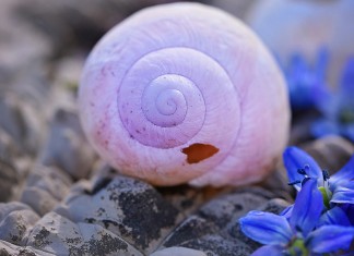 Sobre estar cheio de palavras vazias