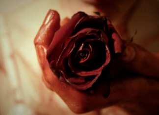 Quando o amor machuca…