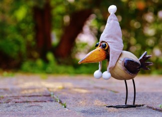 Não deixe para amanhã o que você pode deixar para lá