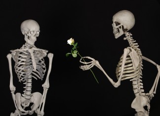 Meu mundo por um elogio!