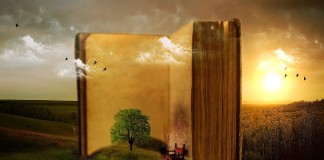 Quem julga livro pela capa perde grandes histórias. Quem julga livro pela capa perde grandes histórias.