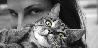 Amor aos animais; que loucura é essa?