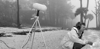 Especialista em sons da natureza adverte: o mundo animal está cada vez mais silencioso Especialista em sons da natureza adverte: o mundo animal está cada vez mais silencioso